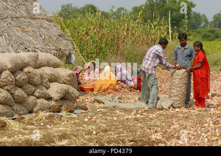 Jute bags for online agriculture