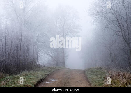 A cold and misty winter day. A track leads off between frosted, frozen trees that fade off in the fog. The puddles on the lane are covered in ice. Stock Photo