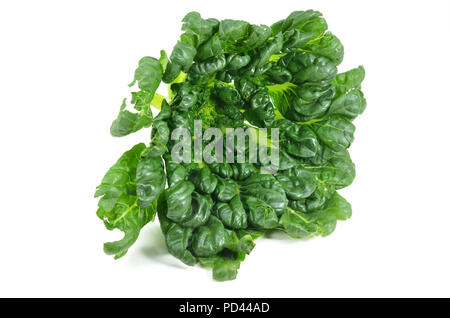 Chinese flat cabbage (Brassica chinensis) or Tah Tsai lettuce isolated on white Stock Photo