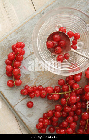 preparing fresh redcurrants Stock Photo - Alamy