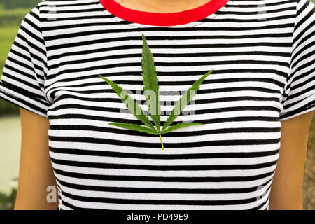 A green natural cannabis leaf in a close view lying on the girl's chest which is dressed in a black and white striped T-shirt with a red collar Stock Photo