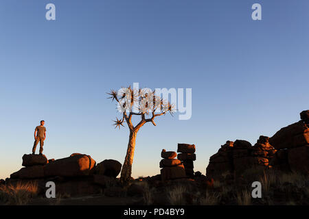 Man standing on big rock with hands in pockets near a lone tree in Quiver tree in the setting sun, forest and tourist attraction of southern Namibia Stock Photo