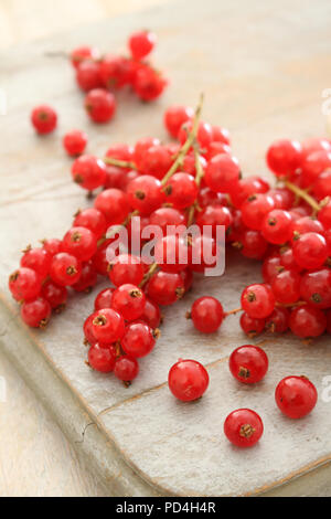 preparing fresh redcurrants Stock Photo - Alamy