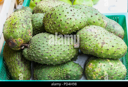 Green guyabano fruit on street market in Manila. Philippines. Stock Photo