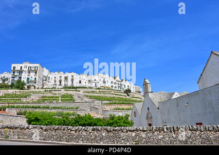 Italy, Puglia region, Locorotondo, a whitewashed village in full Valle d'Itria, panorama. Stock Photo