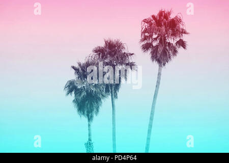 Three Palm Trees in a Row With a Pastel Colored Background, taken in Santa Cruz, California USA Stock Photo