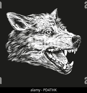 muzzle of a wolf, wildlife hand drawn vector illustration realistic sketch white on a black background Stock Vector
