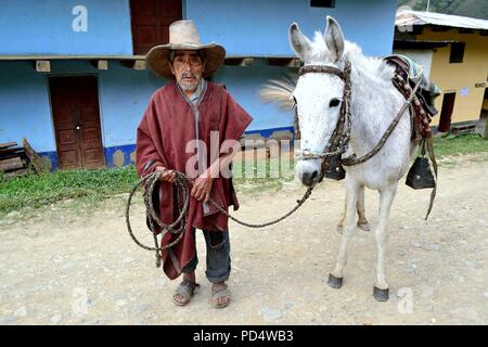 Farmer in El CARMEN DE LA FRONTERA - Ecuador border - Huancabamba. Department  of Piura .PERU    					  			 	  	  			 	    	 Stock Photo