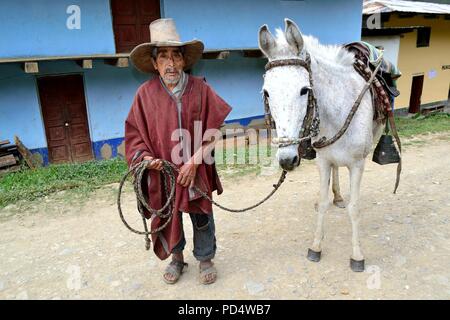 Farmer in El CARMEN DE LA FRONTERA - Ecuador border - Huancabamba. Department  of Piura .PERU    					  			 	  	  			 	    	 Stock Photo