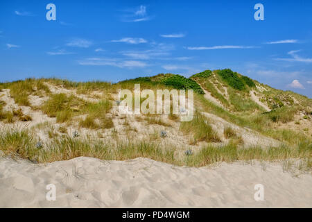 Dunes at the beach in le Touquet Paris-Plage Stock Photo