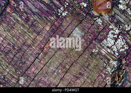 The rich texture of weathered wood, with cracks and peeling paint. Sun, rain and wind weathered wood from a shed Stock Photo
