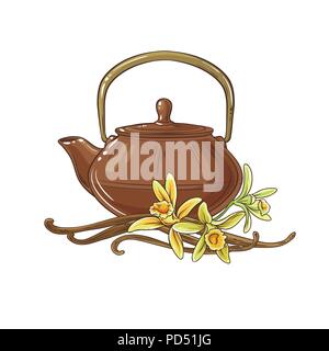 vanilla teain teapot illustration on white background Stock Vector