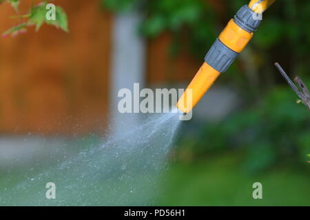 A water shower from a garden hosepipe Stock Photo