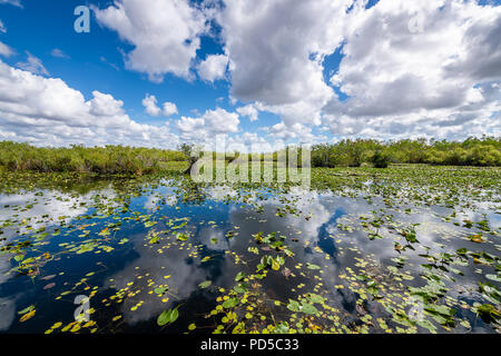 Everglades National Park Stock Photo