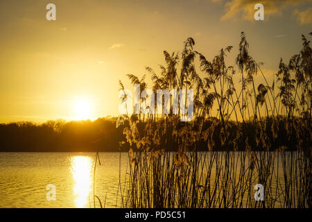 Berlin. Tegler See Stock Photo