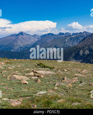 Sunny Colorado Rockies, with rock field in front, dramatic  blue-grey mountains behind, and bright blue sky above, with puffy clouds. Stock Photo