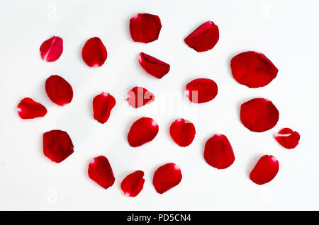 Rose petal isolate on a white background Red design heart Stock Photo