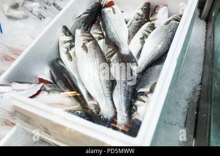 Close up food image of raw frozen sea bass fish on ice on the market. Stock Photo