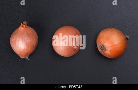 Three bulbs are isolated on a black background Stock Photo