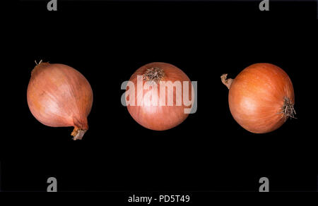 Three bulbs are isolated on a black background Stock Photo