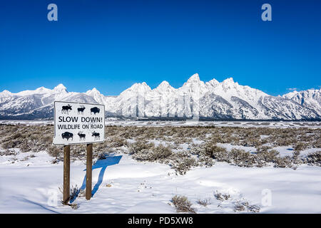 Slow Down for Wildlife Sign Stock Photo