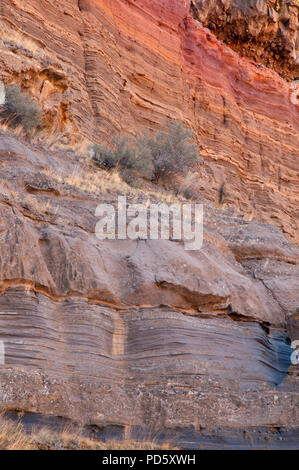 Deschutes River canyon cliff from Scout Camp Trail, Steelhead Falls Wilderness Study Area, Deschutes Wild and Scenic River,  Oregon Stock Photo