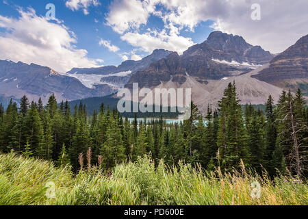 Crowfoot Glacier Stock Photo