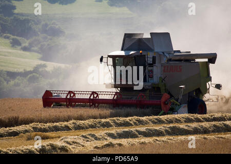 Combine harvester (Claas) harvesting barley, Midford Valley, Somerset, England, Stock Photo