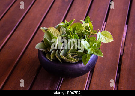 Small terracotta pot with herbs on a wooden table
