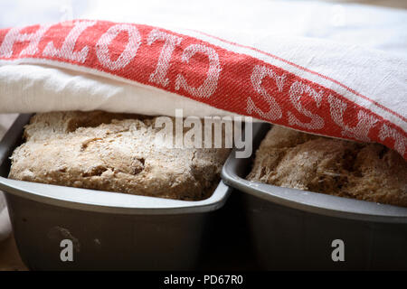 Rye Bread Stock Photo