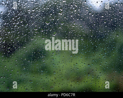 Water drops, Rain drops on window glass with tree and blue sky background Stock Photo