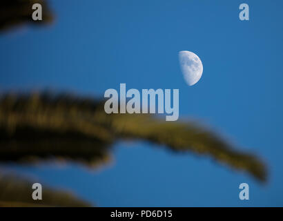 Moon in the distance Stock Photo