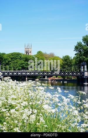 View of the Ferry Bridge also known as the Stapenhill Ferry Bridge and the River Trent with cow parsley in the foreground, Burton upon Trent, Stafford Stock Photo