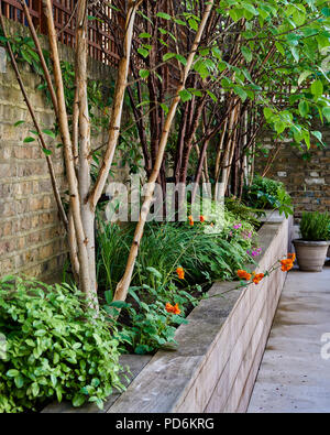 Raised flowerbeds in courtyard garden of Victorian London home Stock Photo