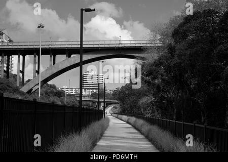 Walkway with highway bridge in Auckland New Zealand in black and white Stock Photo