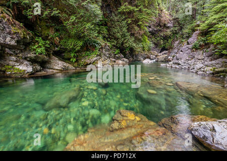 30 Foot Pool in Lynn Canyon Park Stock Photo