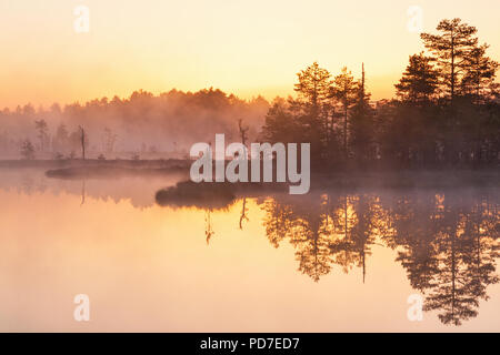 Dawn light over the lake at the bog Stock Photo