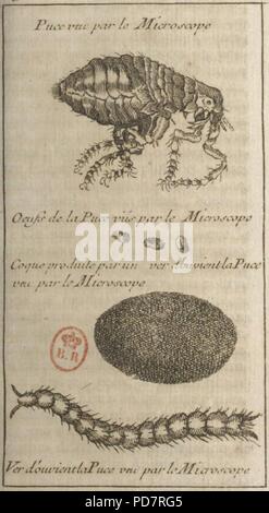 Andry - De la génération des vers (1741), planche p. 6. Stock Photo