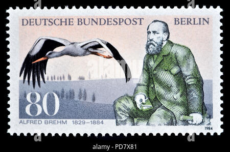 German postage stamp (Berlin: 1984) : Alfred Edmund Brehm (1829 - 1884) German zoologist, writer, director of zoological gardens in Hamburg and Berlin Stock Photo