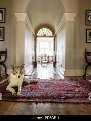 A dog lies on an antique rug in hall leading through to dining room with double doors Stock Photo