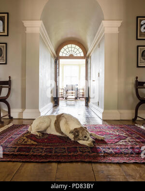 A dog lies on an antique rug in hall leading through to dining room with double doors Stock Photo