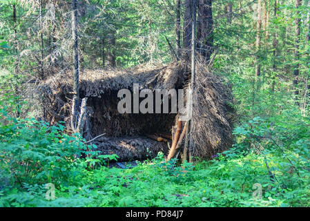 Forest shelter made from natural materials, hut in the forest Stock Photo