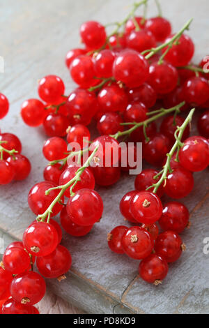 preparing fresh redcurrants Stock Photo - Alamy