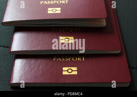 International passport. Customs control. Red Passport for travel in different countries. Passport control . Documents for traveling. Stock Photo
