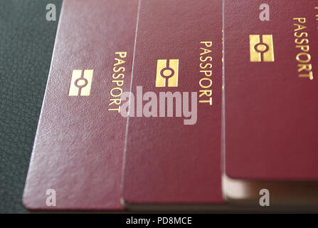 International passport. Customs control. Red Passport for travel in different countries. Passport control . Documents for traveling. Stock Photo