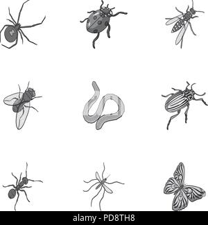 Beetle, wasp, bee, ant, fly, spider, mosquito and other insect species. Various insects set collection icons in monochrome style vector symbol stock i Stock Vector