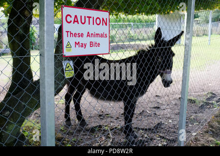 Animals may bite warning sign at zoo safari park Stock Photo