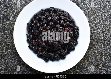 Bowl of Freshly picked Blackberries Stock Photo