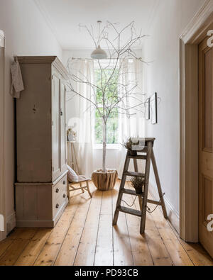 Spacious landing with antique wardrobe, rustic ladder and potted tree Stock Photo
