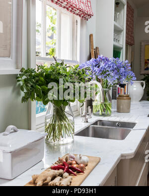 Large jug of freshly picked mint on pale grey marble worktop Stock Photo